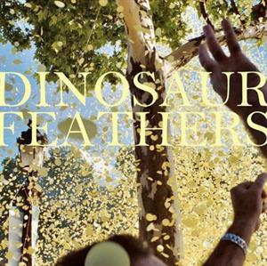 Dinosaur Feathers – Whistle Tips (1LP Vinyl)