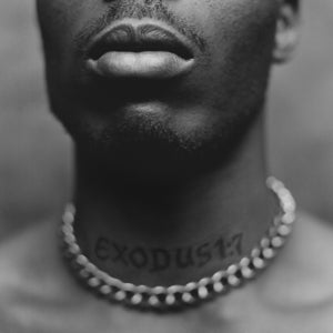 Dmx – Exodus (1LP Vinyl)