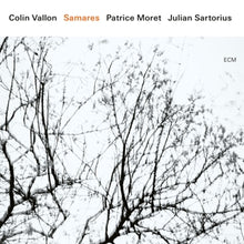 Vallon, Colin & Patrice Moret & Julian Sartorius – Samares cd