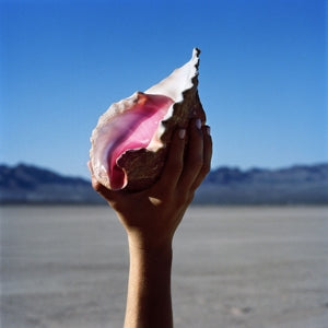 Killers – Wonderful Wonderful (1LP Vinyl)