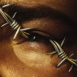 Post Malone – Beerbongs & Bentleys (2LP Vinyl)