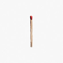 RAMMSTEIN – Rammstein vinyl