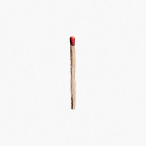 RAMMSTEIN – Rammstein (2LP Vinyl)