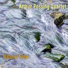 Possing, Arthur -Quartet- – Natural Flow cd