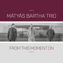 Matyas Bartha Trio – From This Moment On cd