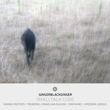 Peeters, Yannick & Gingerblackginger & Tim Berne – Smalltalk Code cd