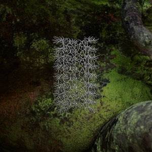 Karkait – To All That Cannot Be Undone (1LP Vinyl)
