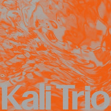 Kali Trio – The Playful Abstract vinyl