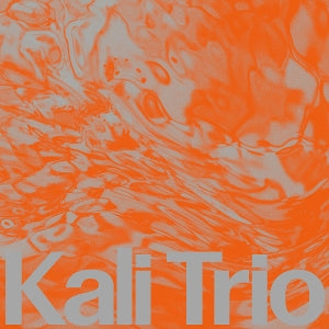 Kali Trio – The Playful Abstract (1LP Vinyl)