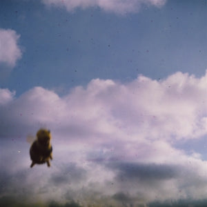 Pond – Stung! cd