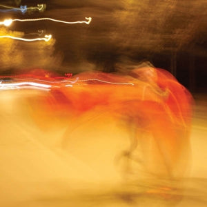 William Basinski – A Shadow In Time (1 CD)