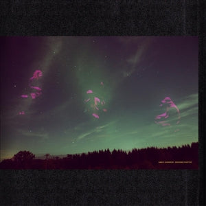 Norgren, Daniel – Skogens Frukter (1LP Vinyl)
