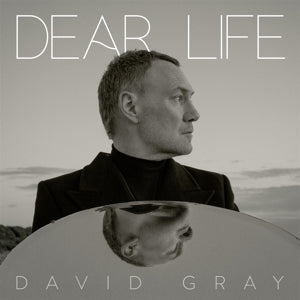 Gray, David – Dear Life vinyl