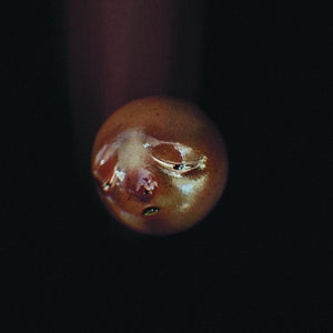Poolblood – Mole (1CD)