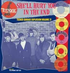 V/A – She Ll Hurt You In the End vinyl