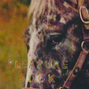 Spirit of the Beehive – Pleasure Suck vinyl