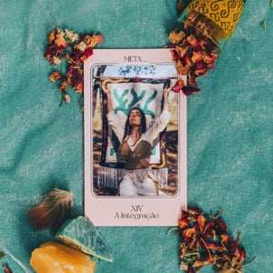 Meta_ – Xiv- a Integracao vinyl