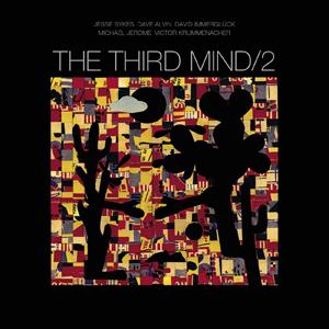 Third Mind – Third Mind 2 (2LP Vinyl)