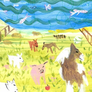 Lots of Hands – Into a Pretty Room (1LP, Coloured Vinyl)