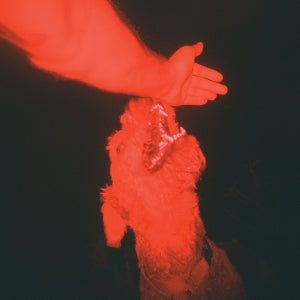 Winter, Eli – A Trick of the Light (1LP Vinyl)