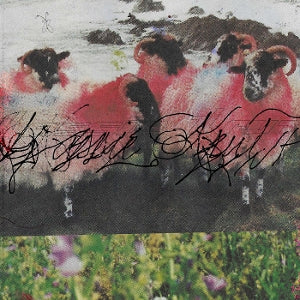 Krut, Kassie – Kassie Kru (1LP Vinyl)