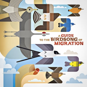 Various Artist – A Guide To the Birdsong of Migration (1LP Vinyl)