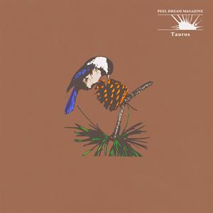 Peel Dream Magazine – Taurus vinyl