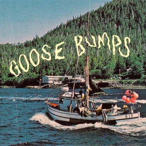 Boyscott – Goose Bumps cd