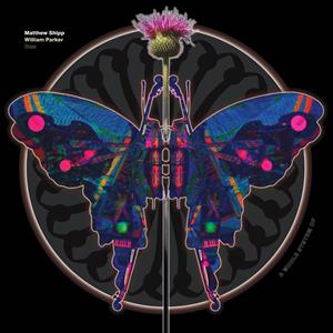 Matthew Shipp & William Parker – A Whole System of (1CD)