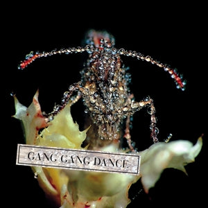 Gang Gang Dance – Eye Contact (1 CD)