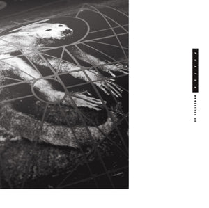 Pixies – Doolittle 25 (3CD)