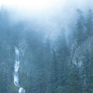 Wolves In the Throne Room – Diadem of 12 Stars (2LP Vinyl, Reissue)