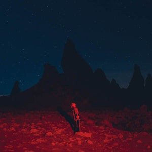 PHOEBE BRIDGERS – Punisher (1LP Vinyl)