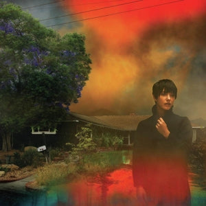 Etten, Sharon Van – We've Been Going About This All Wrong vinyl