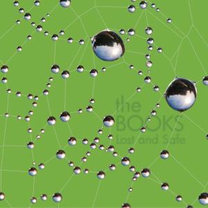 Books – Lost and Safe cd