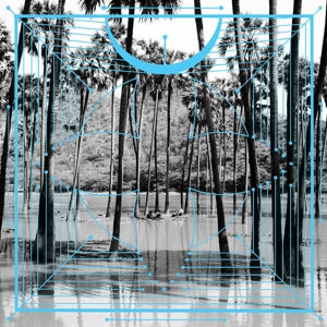 FOUR TET – Pink (2LP Vinyl)