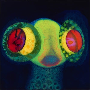 Osees – Sorcs 80 vinyl