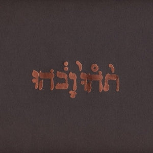 Godspeed You! Black Emperor – Slow Riot For New Zero Kanada (1LP Vinyl)