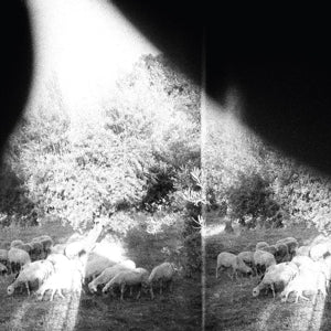 Godspeed You! Black Emperor – Asunder, Sweet & Other Distress (1LP Vinyl)