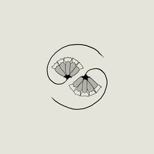 Godspeed You! Black Emperor – G_d's Pee At State's End (1 CD)
