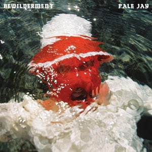 Pale Jay – Bewilderment (1LP Vinyl)