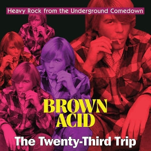 Various Artist – Brown Acid: the Twenty-Third Trip (1LP Vinyl)