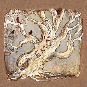 Emo – Remedy cd