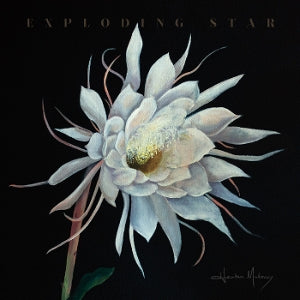 Maloney, Heather – Exploding Star vinyl