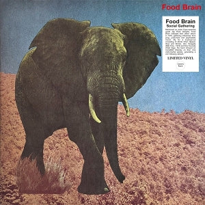 Food Brain – Social Gathering (1LP Vinyl)