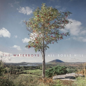 Waterboys – All Souls Hill vinyl