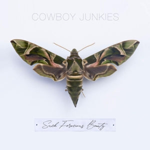 Cowboy Junkies – Such Ferocious Beauty (1 CD)