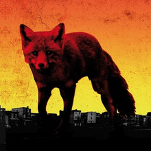 Prodigy – The Day is My Enemy cd