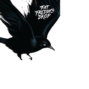 Fat Freddys Drop – Blackbird vinyl