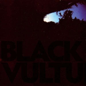 Daniel Norgren – Black Vultures (1LP Vinyl)